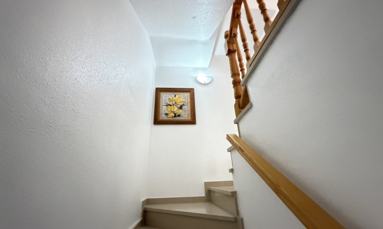 Sale - House -
La Zenia