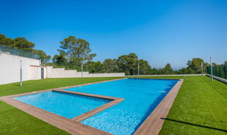 Sale - House -
San Miguel de Salinas* - Bellavista
