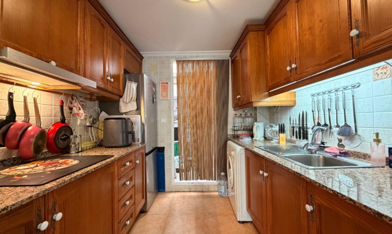 Sale - House -
Guardamar del Segura - El Raso