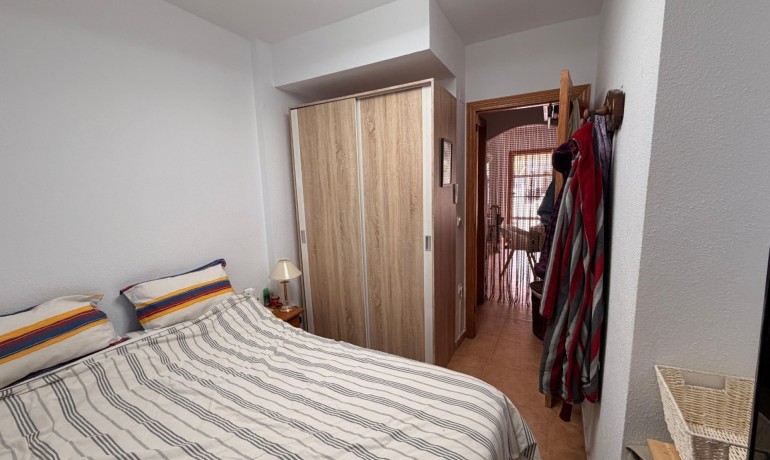 Sale - House -
Guardamar del Segura - El Raso