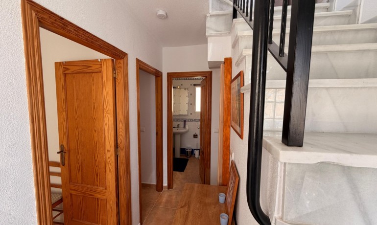 Sale - House -
Guardamar del Segura - El Raso