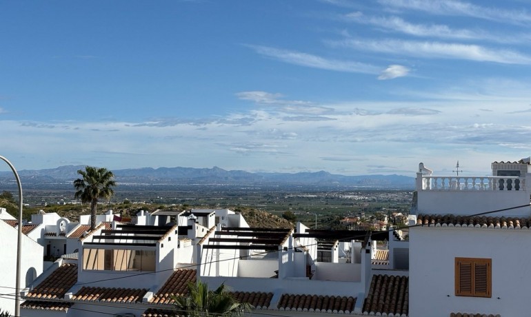 Sale - House -
Ciudad Quesada - Altos de Quesada