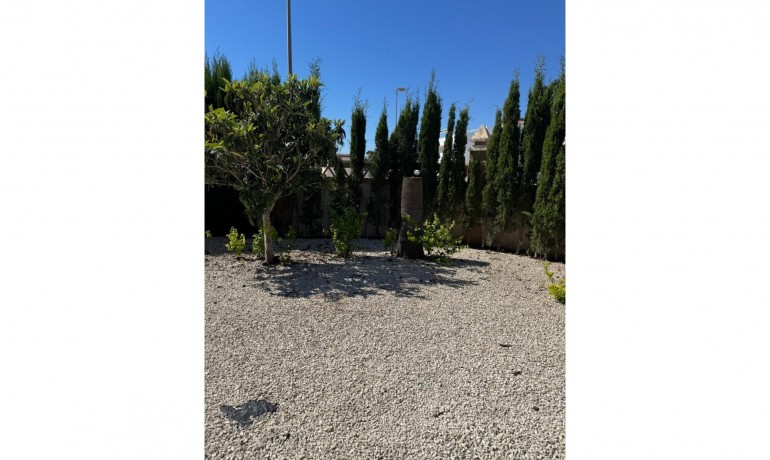 Sale - Apartment / Flat -
Cuidad Quesada* - Doña pepa