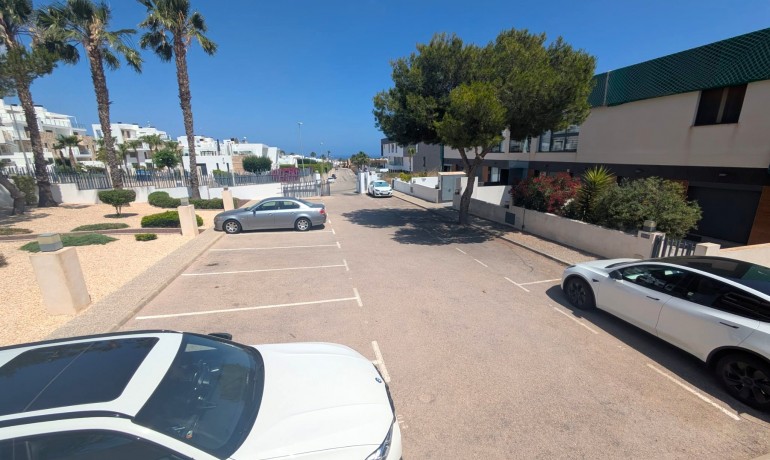 Revente - Appartement / Flat -
Los Dolses