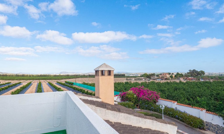 Revente - Finca / Propriété de campagne -
San Miguel de Salinas - San Miguel - Country