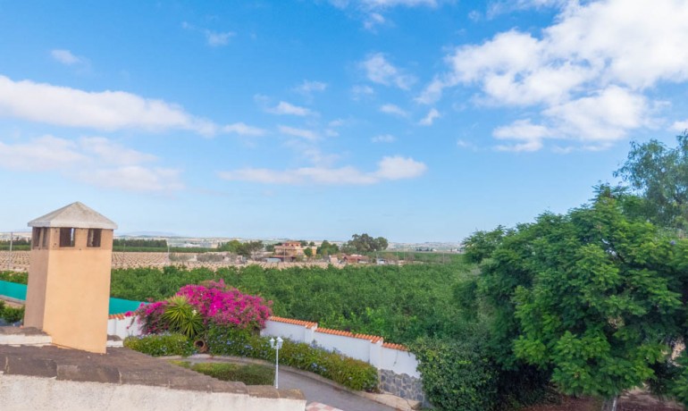 Revente - Finca / Propriété de campagne -
San Miguel de Salinas - San Miguel - Country