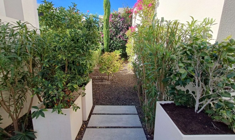 Revente - Villa -
Algorfa - La Finca Golf Resort