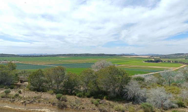 Revente - Villa -
Algorfa - La Finca Golf Resort