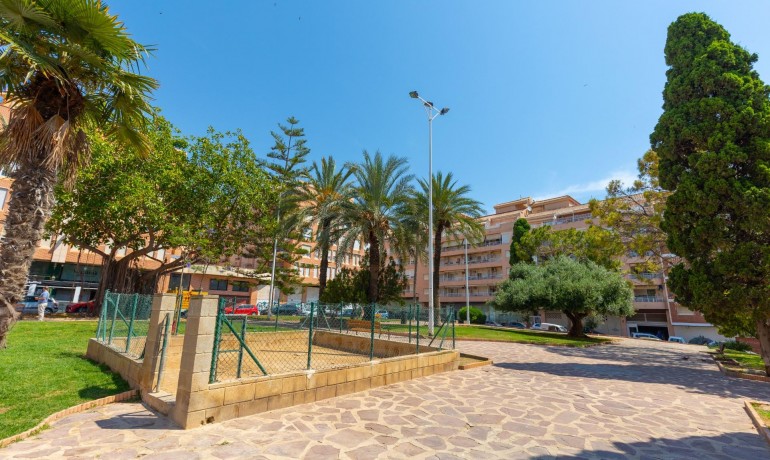 Venta - Apartamento / piso -
Torrevieja - Playa del cura