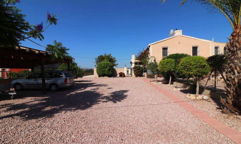 Revente - Finca / Propriété de campagne -
Albatera - Albatera - Country