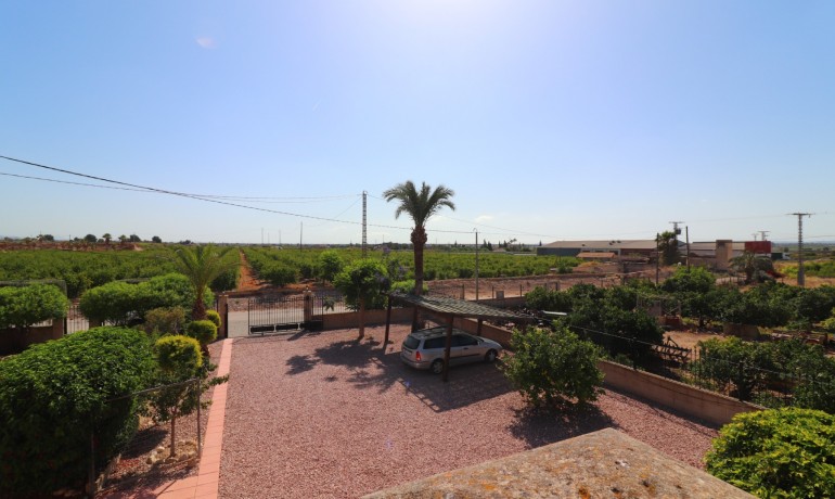 Revente - Finca / Propriété de campagne -
Albatera - Albatera - Country