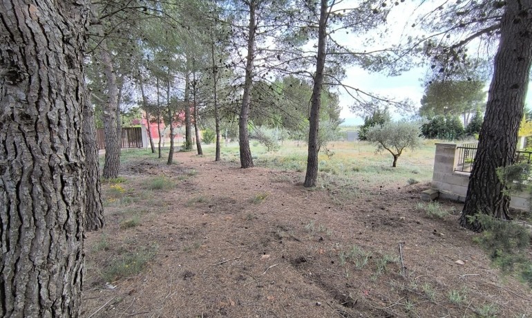 Herverkoop - Villa -
Yecla - Inland