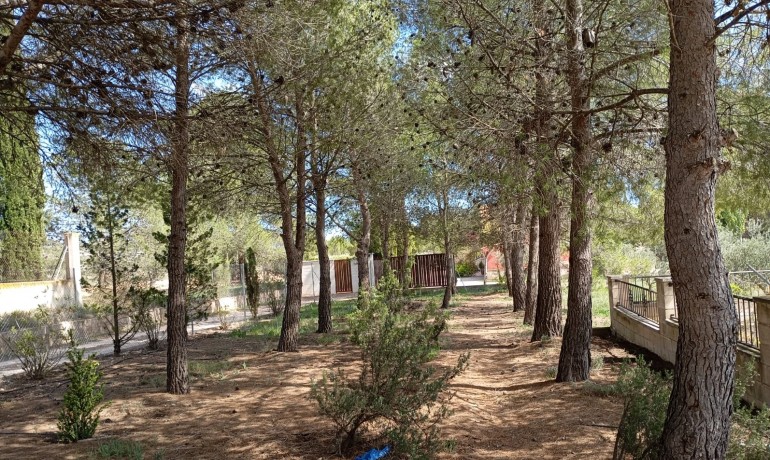 Herverkoop - Villa -
Yecla - Inland