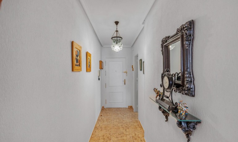 Herverkoop - Appartement / Flat -
Torrevieja* - Estacion de autobuses