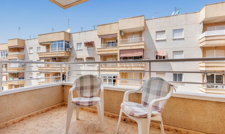 Herverkoop - Appartement / Flat -
Torrevieja* - Estacion de autobuses