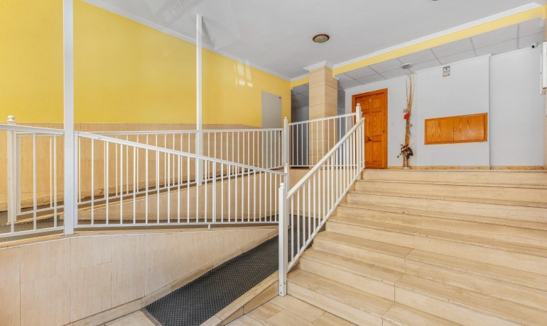 Herverkoop - Appartement / Flat -
Torrevieja* - Estacion de autobuses