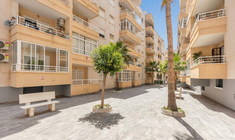 Herverkoop - Appartement / Flat -
Torrevieja* - Estacion de autobuses