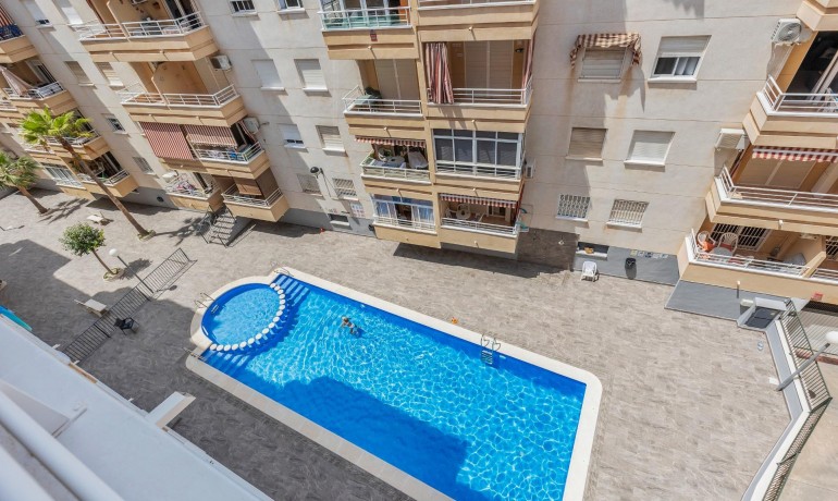 Herverkoop - Appartement / Flat -
Torrevieja* - Estacion de autobuses