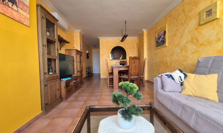 Herverkoop - Appartement / Flat -
Torrevieja* - Acequion