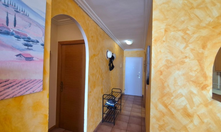Herverkoop - Appartement / Flat -
Torrevieja* - Acequion