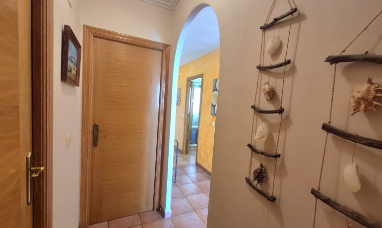 Herverkoop - Appartement / Flat -
Torrevieja* - Acequion