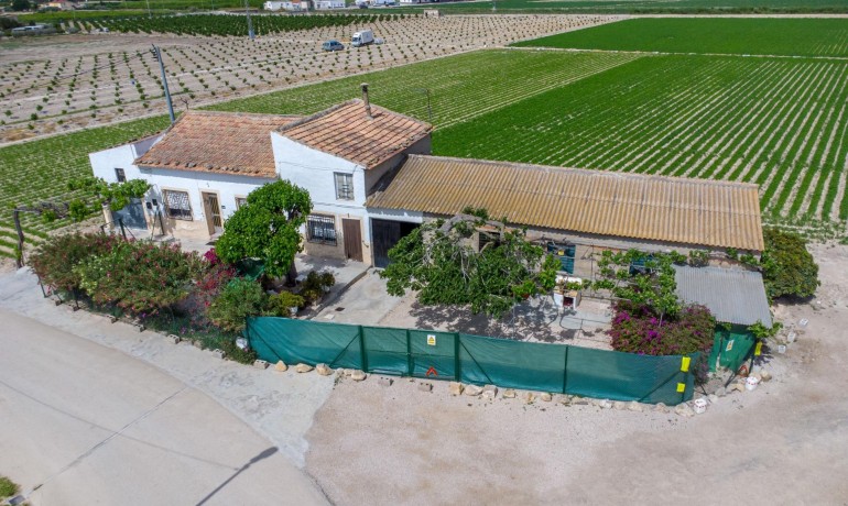 Herverkoop - Finca / Landgoed -
Orihuela - Desamparados-Hurchillo-Torremendo