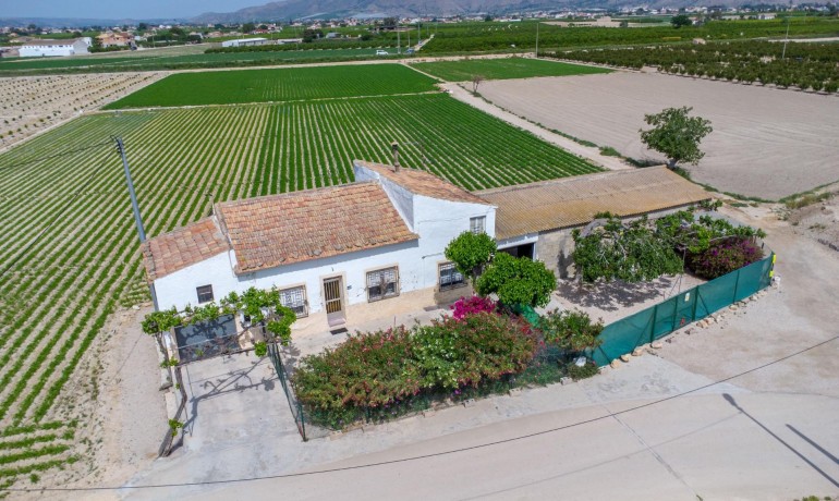 Herverkoop - Finca / Landgoed -
Orihuela - Desamparados-Hurchillo-Torremendo