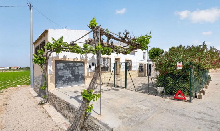 Herverkoop - Finca / Landgoed -
Orihuela - Desamparados-Hurchillo-Torremendo