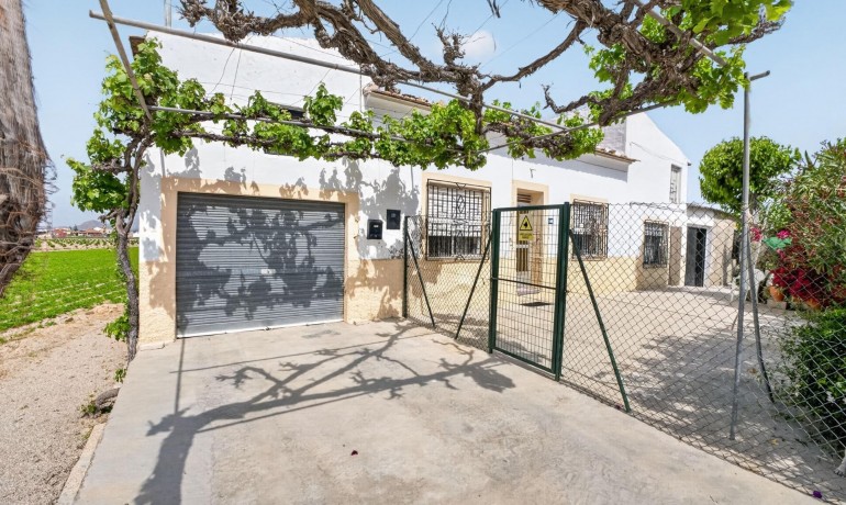 Herverkoop - Finca / Landgoed -
Orihuela - Desamparados-Hurchillo-Torremendo