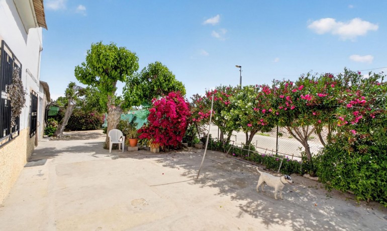 Herverkoop - Finca / Landgoed -
Orihuela - Desamparados-Hurchillo-Torremendo
