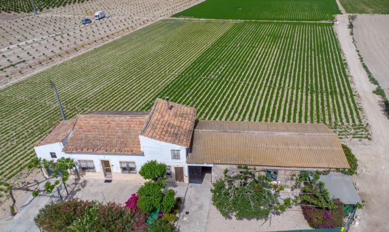 Herverkoop - Finca / Landgoed -
Orihuela - Desamparados-Hurchillo-Torremendo