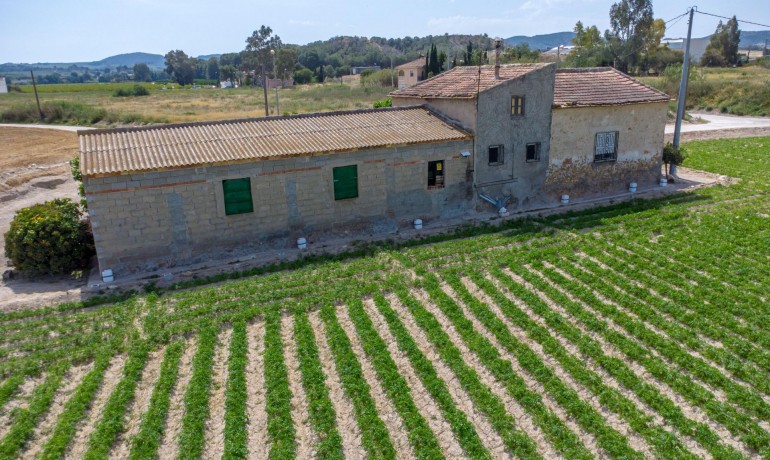 Herverkoop - Finca / Landgoed -
Orihuela - Desamparados-Hurchillo-Torremendo