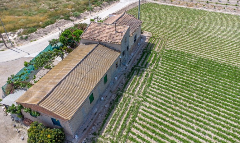 Herverkoop - Finca / Landgoed -
Orihuela - Desamparados-Hurchillo-Torremendo