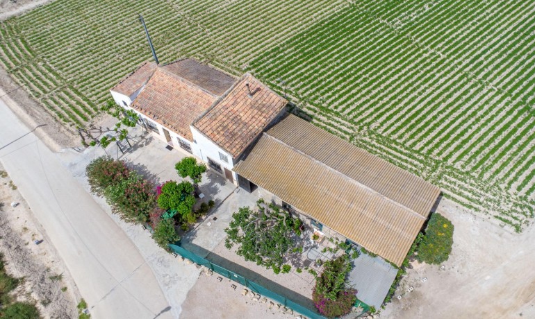 Herverkoop - Finca / Landgoed -
Orihuela - Desamparados-Hurchillo-Torremendo