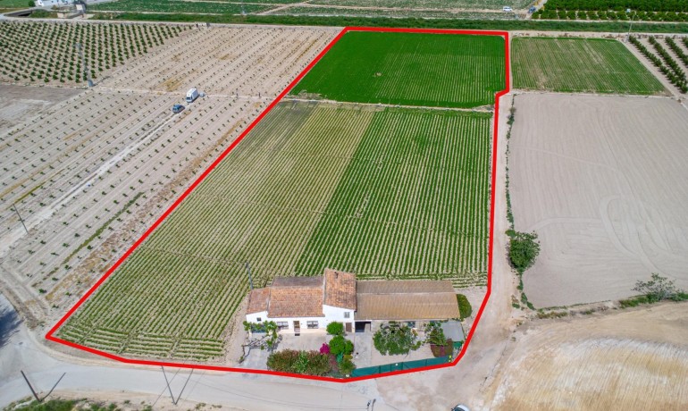 Herverkoop - Finca / Landgoed -
Orihuela - Desamparados-Hurchillo-Torremendo