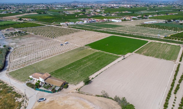Herverkoop - Finca / Landgoed -
Orihuela - Desamparados-Hurchillo-Torremendo