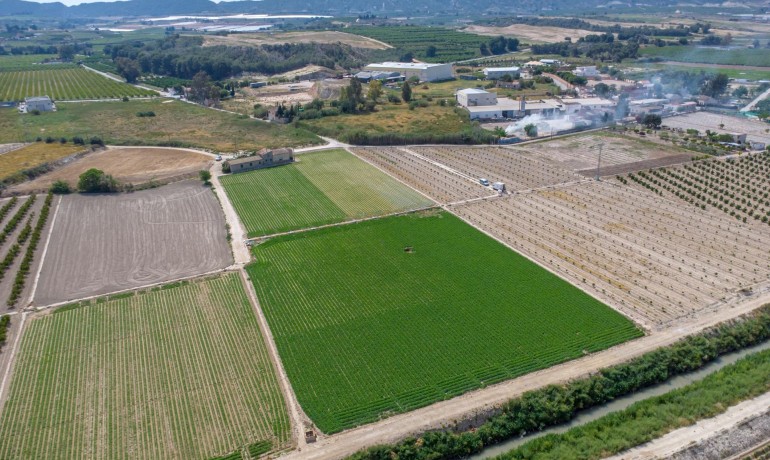 Herverkoop - Finca / Landgoed -
Orihuela - Desamparados-Hurchillo-Torremendo
