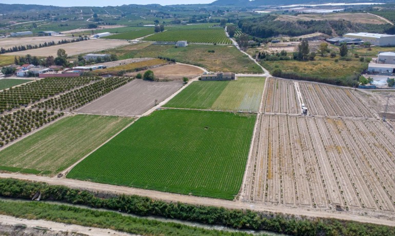 Herverkoop - Finca / Landgoed -
Orihuela - Desamparados-Hurchillo-Torremendo