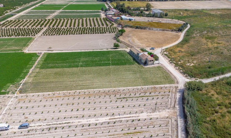 Herverkoop - Finca / Landgoed -
Orihuela - Desamparados-Hurchillo-Torremendo