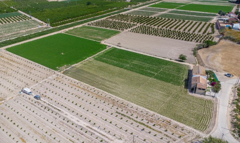 Herverkoop - Finca / Landgoed -
Orihuela - Desamparados-Hurchillo-Torremendo