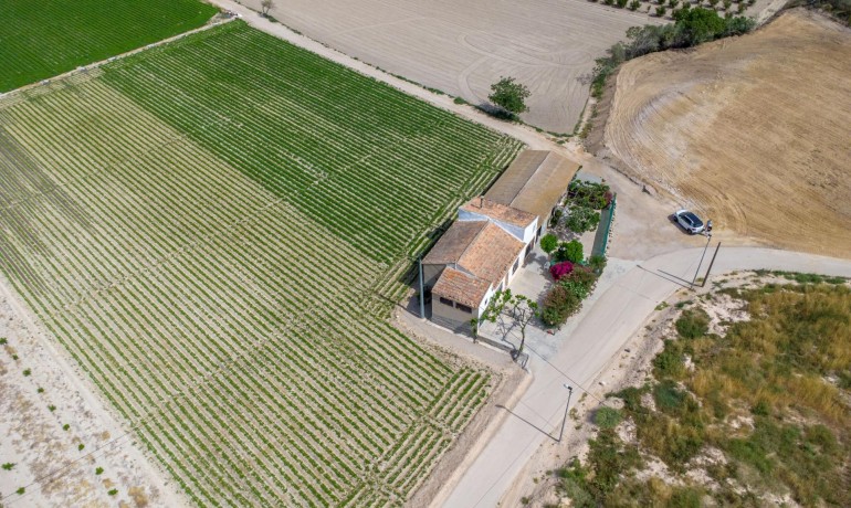 Herverkoop - Finca / Landgoed -
Orihuela - Desamparados-Hurchillo-Torremendo