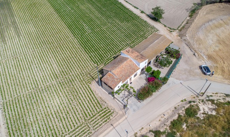 Herverkoop - Finca / Landgoed -
Orihuela - Desamparados-Hurchillo-Torremendo