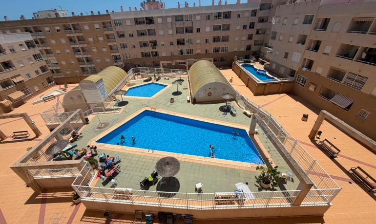 Herverkoop - Appartement / Flat -
Torrevieja Centro - Torrevieja