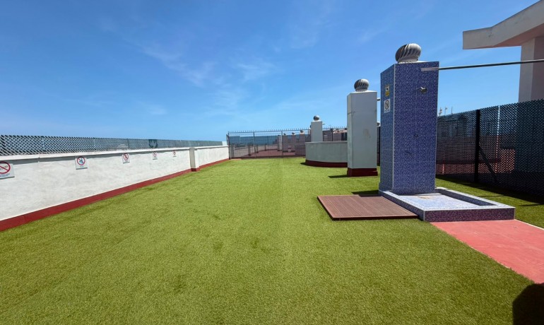 Herverkoop - Appartement / Flat -
Torrevieja Centro - Torrevieja