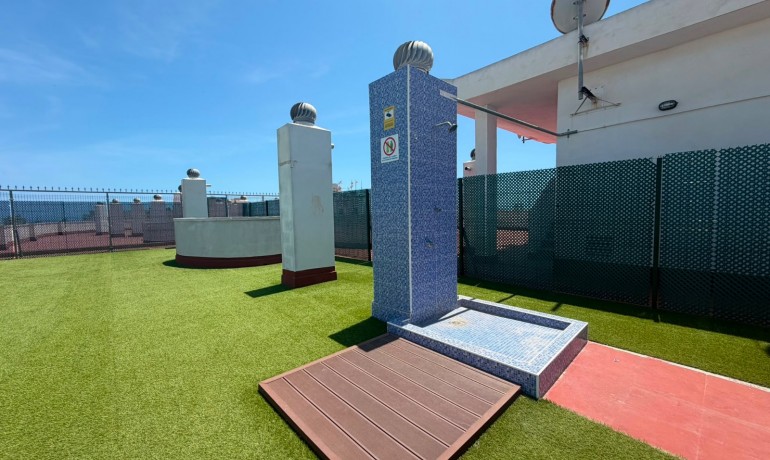 Herverkoop - Appartement / Flat -
Torrevieja Centro - Torrevieja