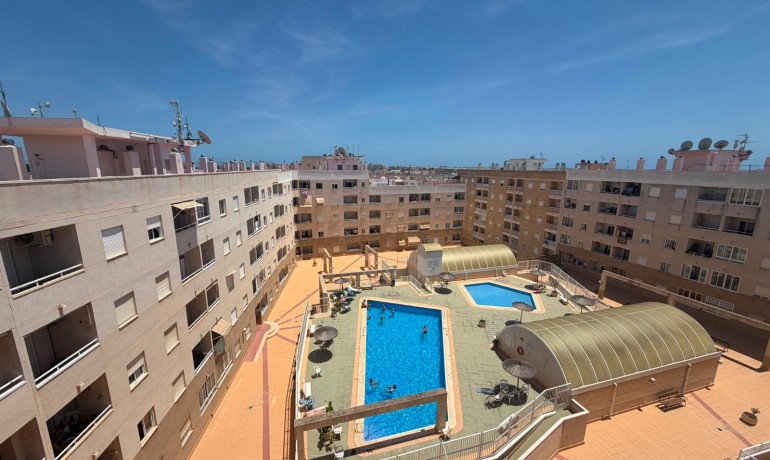 Herverkoop - Appartement / Flat -
Torrevieja Centro - Torrevieja