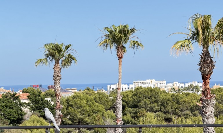 Revente - Maison -
Orihuela Costa - Playa Flamenca