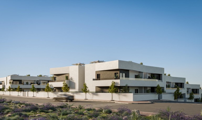 Nouvelle construction - Appartement / Flat -
San Miguel de Salinas* - Pueblo