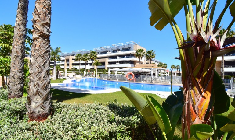 Herverkoop - Appartement / Flat -
Orihuela Costa - Playa Flamenca