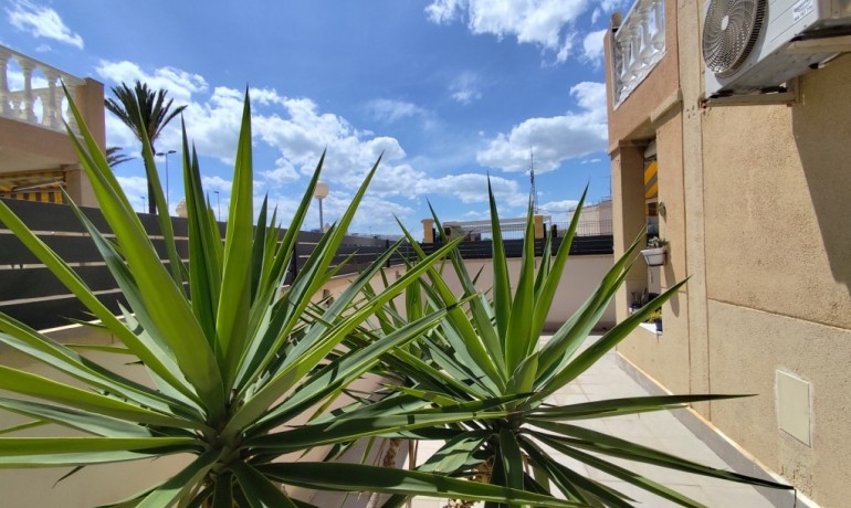Sale - Apartment / Flat -
Torrevieja* - Torrevieja
